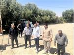 بازدید مدیر پشتیبانی دانشگاه علوم پزشکی کرمانشاه از مرز سومار در آستانه اربعین حسینی