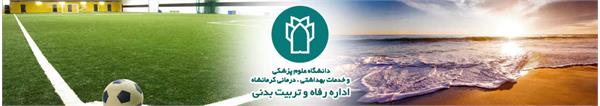 رسانه جدید
