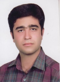 مهندس حسین داعی(کارشناس ارشد معماری)